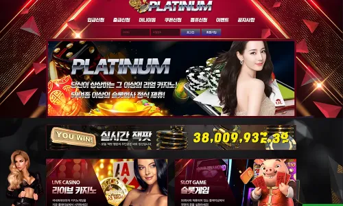 플래티넘카지노[Platinum Casino]