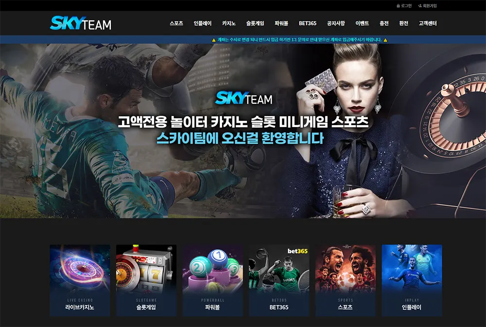 스카이팀[Sky Team] 카지노 바카라 토토사이트