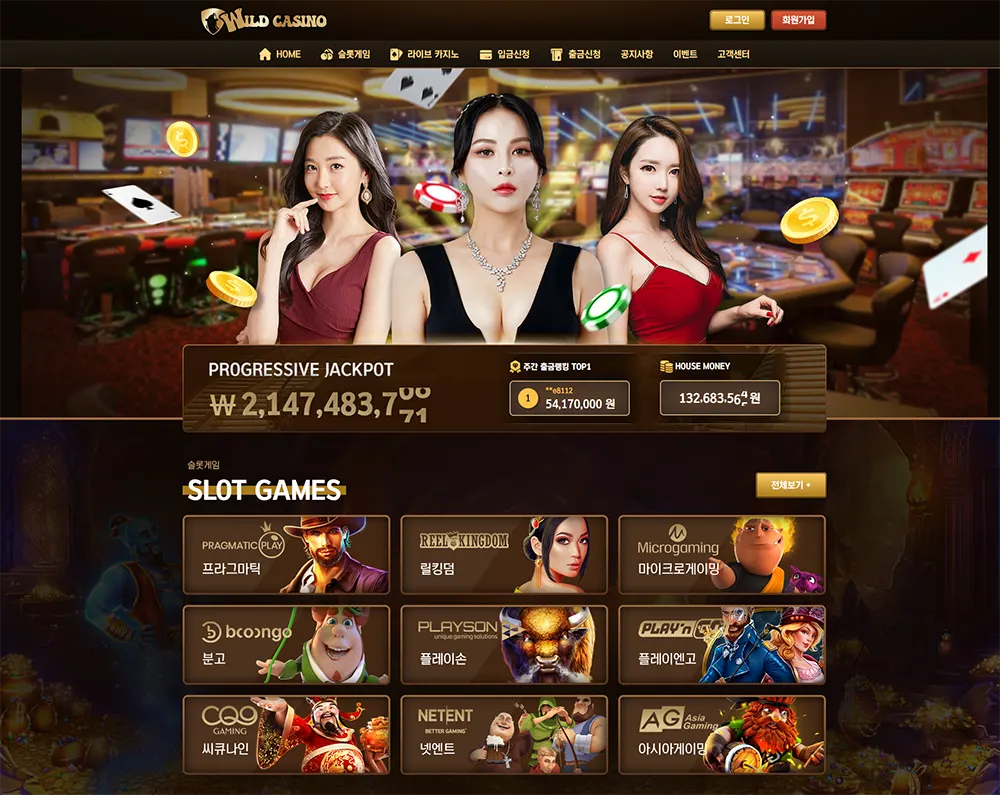 와일드카지노[Wild Casino]