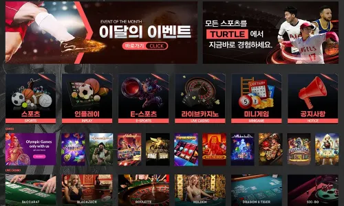 터틀벳[Turtle Bet]