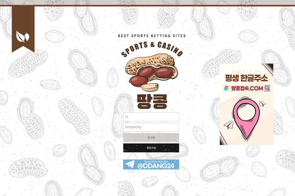 땅콩 피넛[Peanut] 카지노 바카라 토토사이트