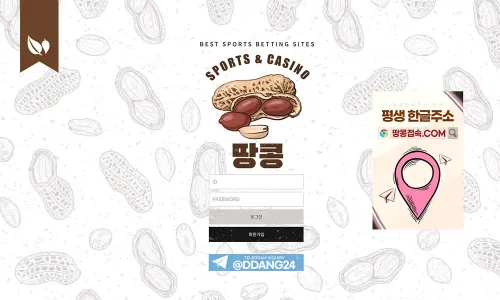 땅콩 피넛[Peanut] 카지노 바카라 토토사이트